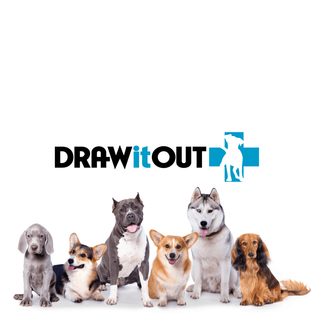 Relieve Your Dog's Pain with Draw it Out K9 Advanced Relief Spray: The Safe and Effective Solution - Draw it Out®