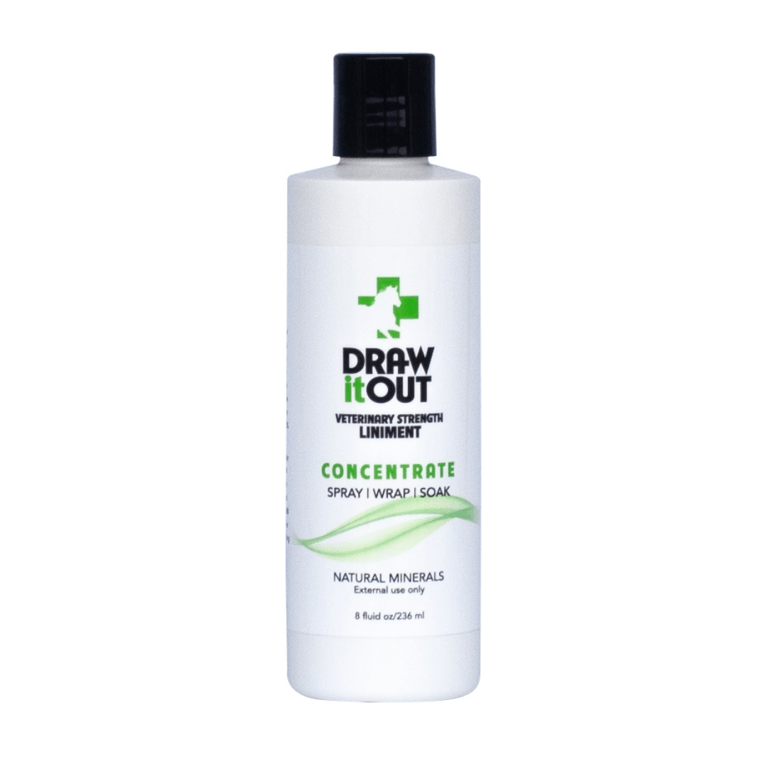 Draw It Out® 8oz Concentrate - Draw it Out®