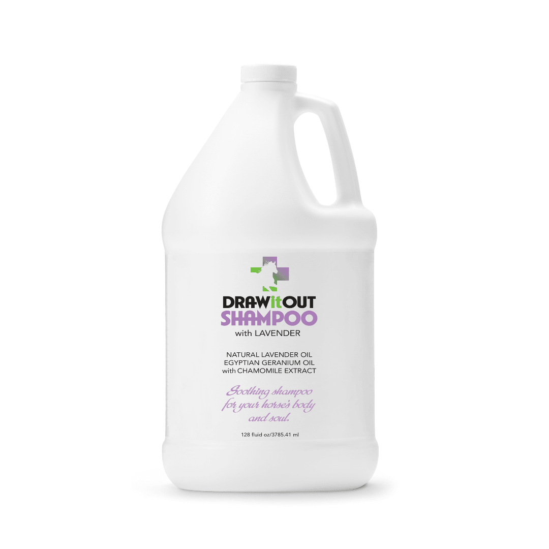 ShowBarn Secret® Soothing Horse Shampoo with Lavender 128oz - Draw it Out®