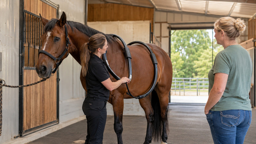 Equine rehabilitation professional conducting a PEMF session on a calm horse