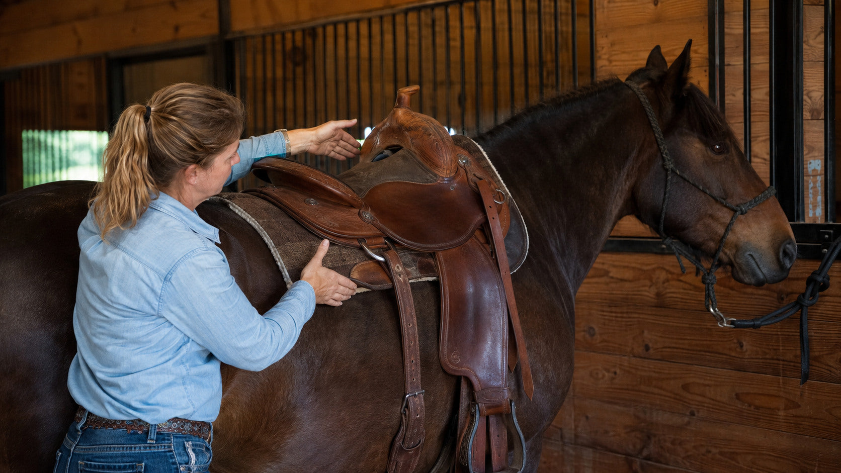 Saddle fitter checking clearance and fit around a horse's withers