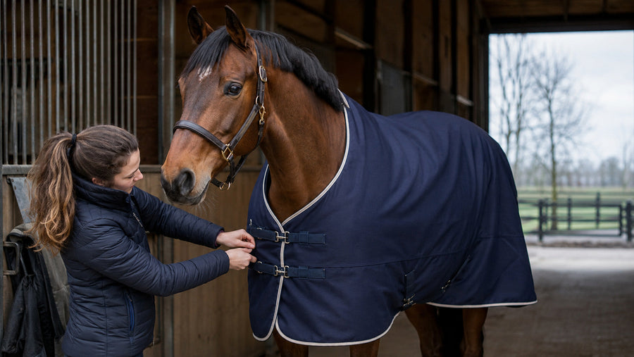 Horse owner checking the chest and shoulder fit of a plain winter blanket