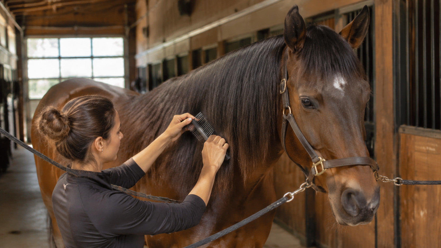 Horse owner gently detangling a mane during a grooming routine