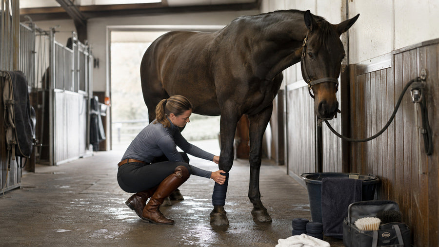 Rider performing a calm post-work body and leg check on a horse