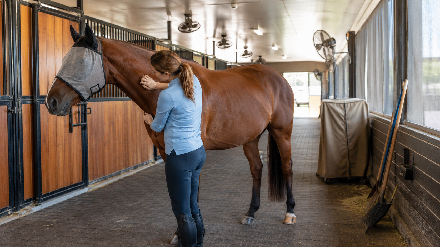 Horse owner checking skin in a clean, airy barn with a fly mask nearby