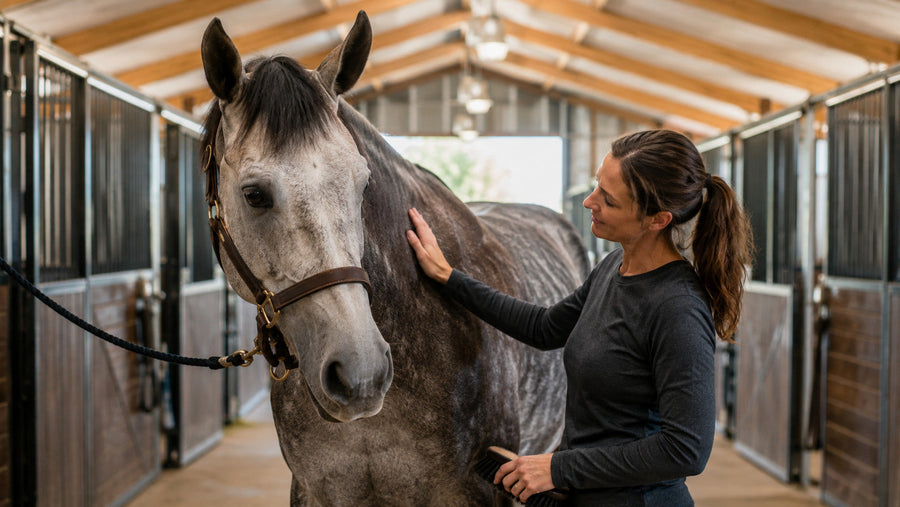 Horse owner sharing a quiet post-grooming moment with a relaxed horse