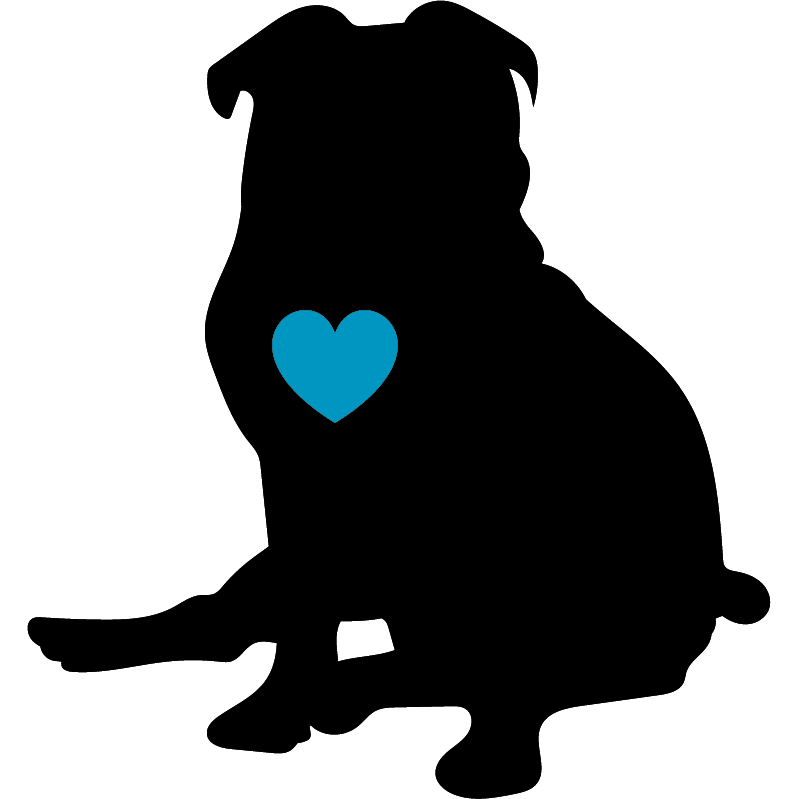 Angus Angels dog image honoring loyal dogs and Memorial Day remembrance