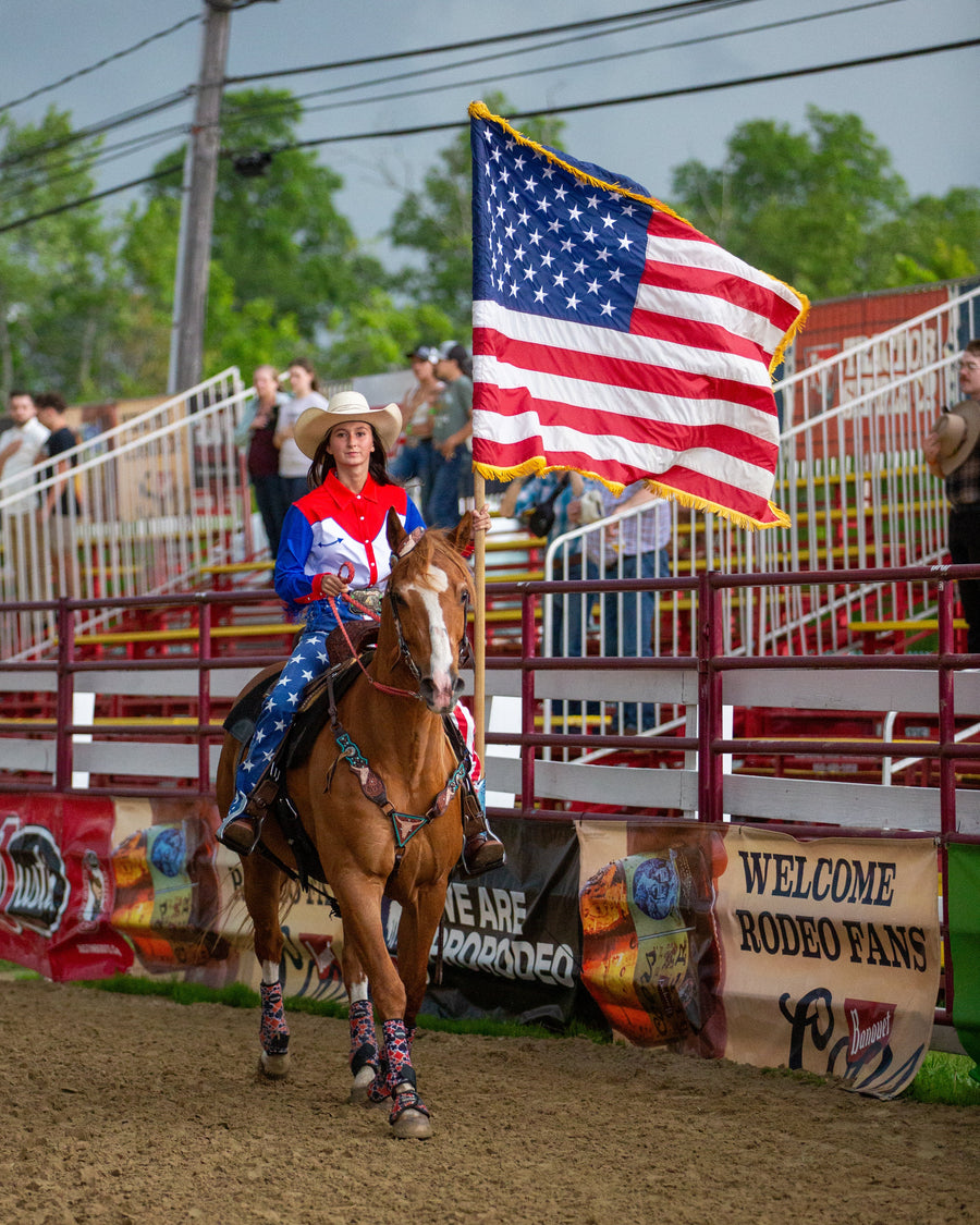Honoring Military Horses This Memorial Day Weekend