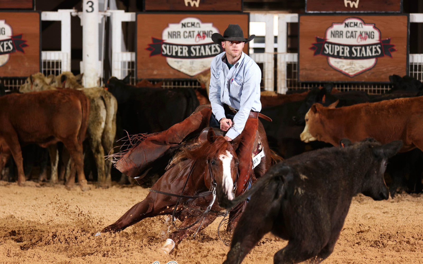 Austin Johnson working a cutting horse in the show pen
