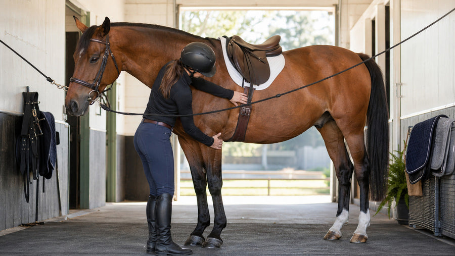 Rider checking girth fit and the skin behind a horse’s elbow