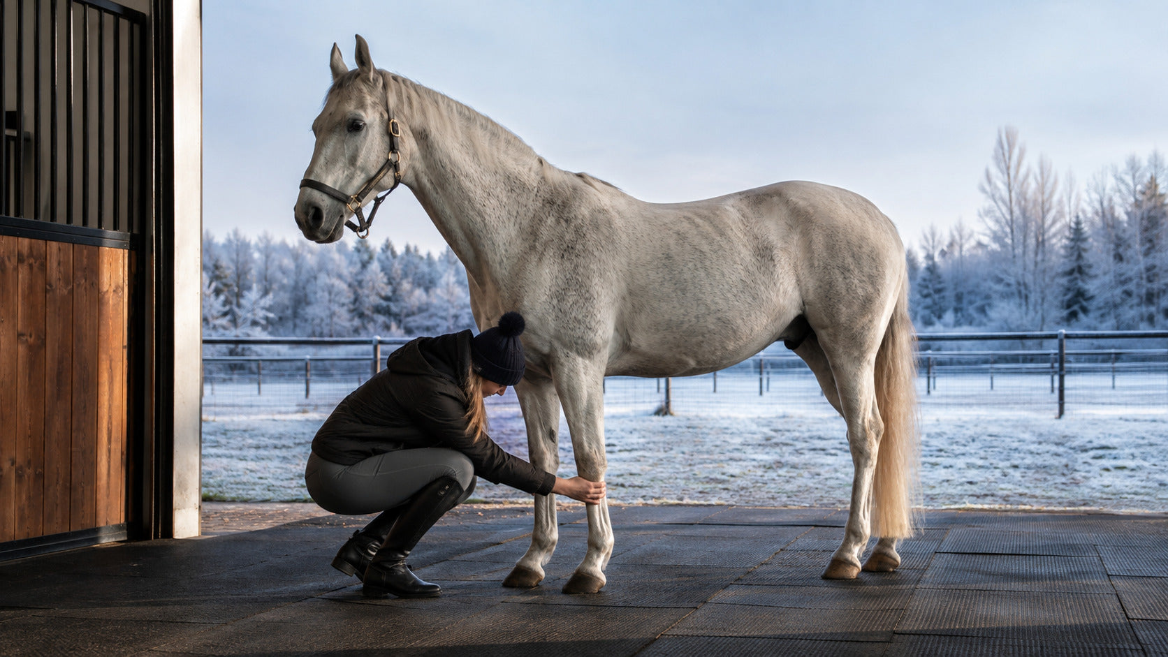 Rider comparing a horse’s front legs before a cold-weather ride