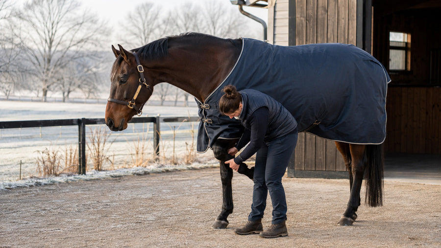 Handler checking a senior horse’s leg on a winter morning