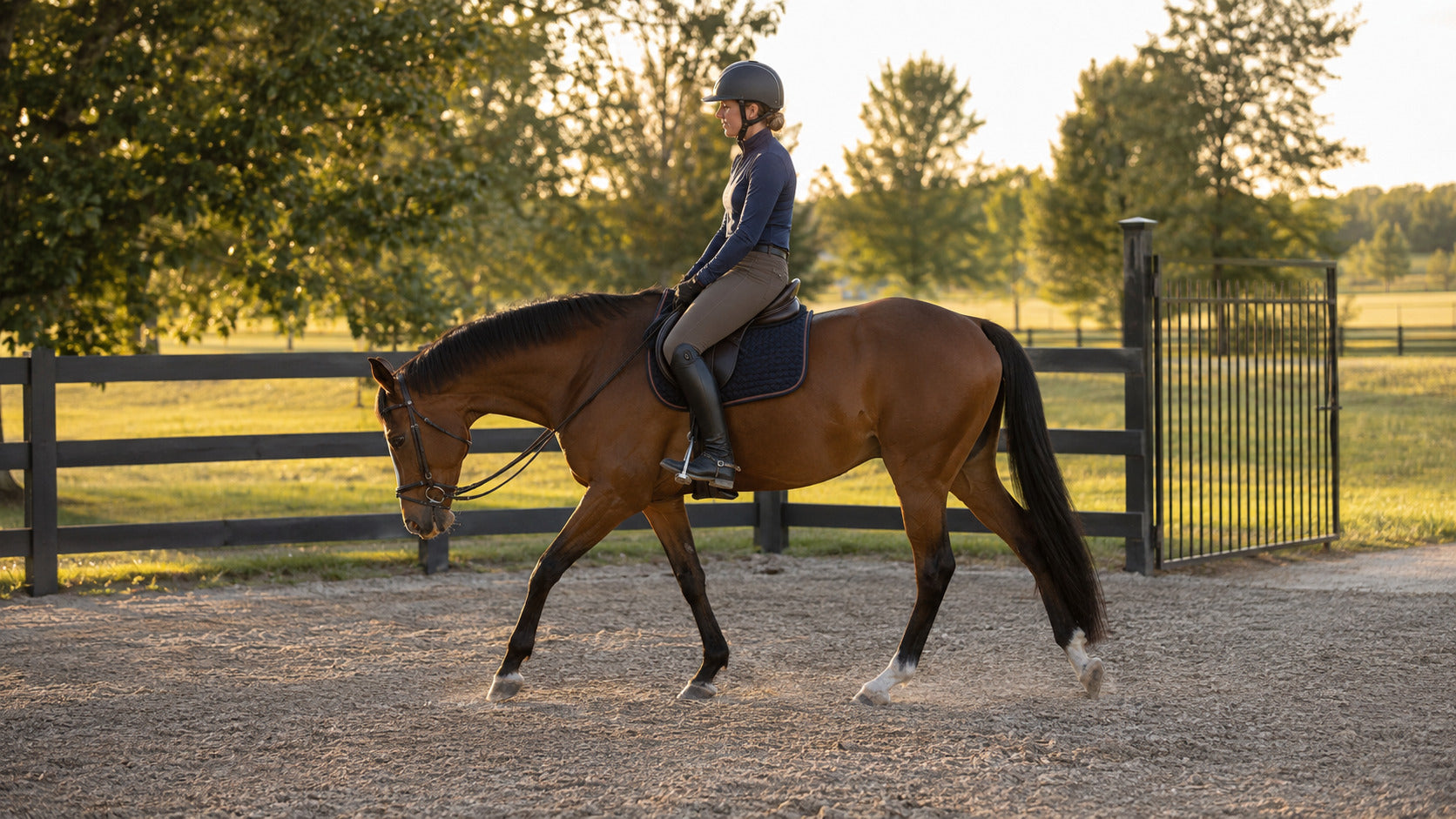 Horse walking on a loose rein during an arena cool-down