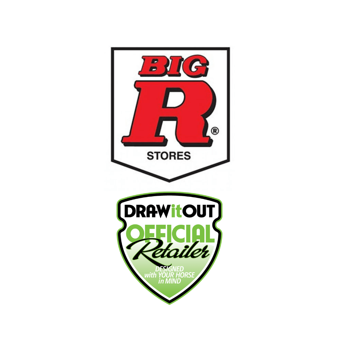 Discover the Ultimate Shopping Experience at Big R Stores - Draw it Out®