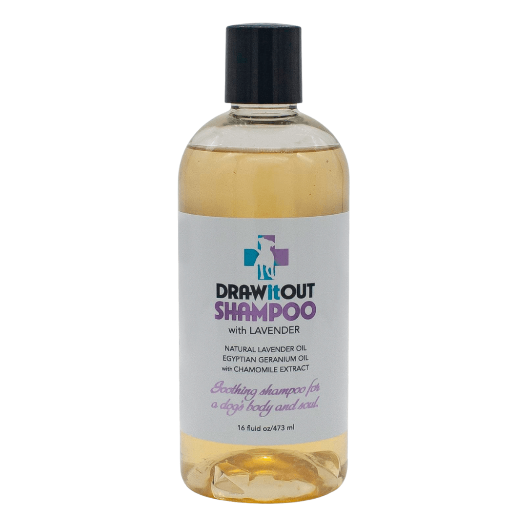 Draw It Out Soothing Lavender Dog Shampoo for wet dog coat and bath routine support