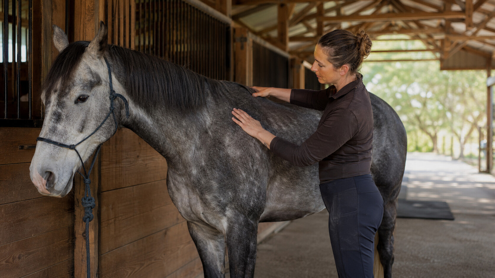 Qualified equine bodyworker using gentle hands on a calm horse