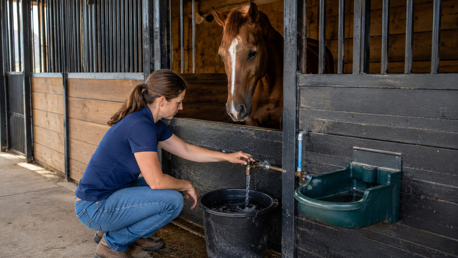 Horse owner checking water level and cleanliness in a stall bucket