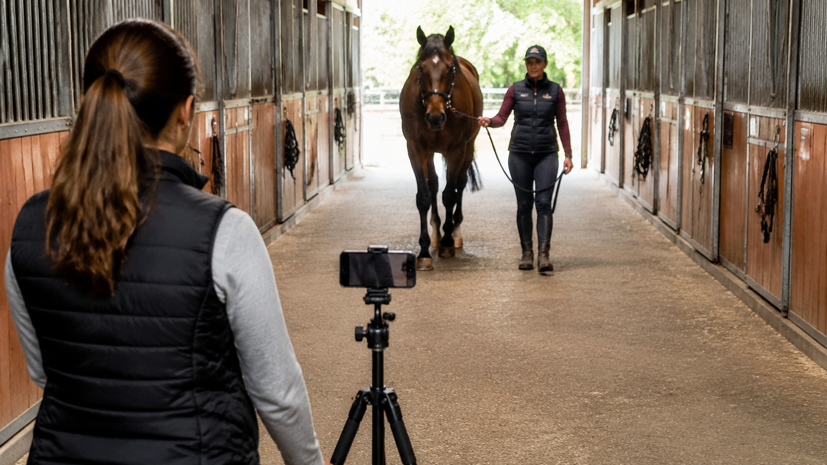 Handler filming a horse trot-up on a straight barn lane