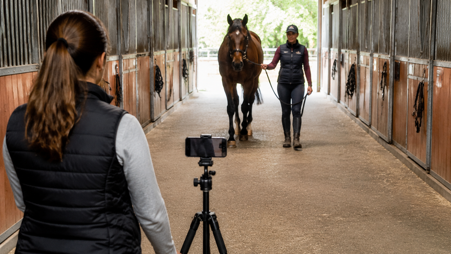 How to Film a Horse Trot-Up Video Your Veterinarian Can Use
