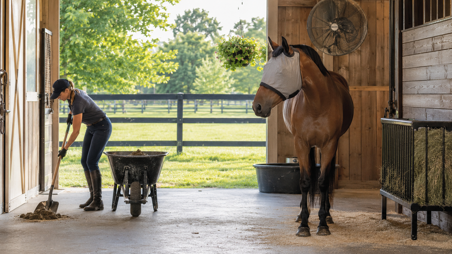 Clean airy barn routine with a fly mask fan and manure removal