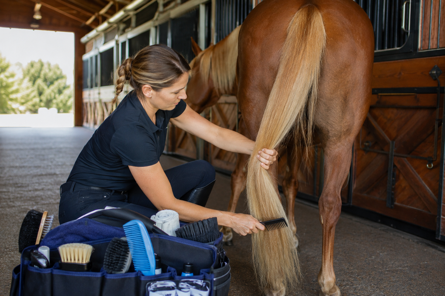 Horse owner carefully brushing a horse's tail with organized grooming tools