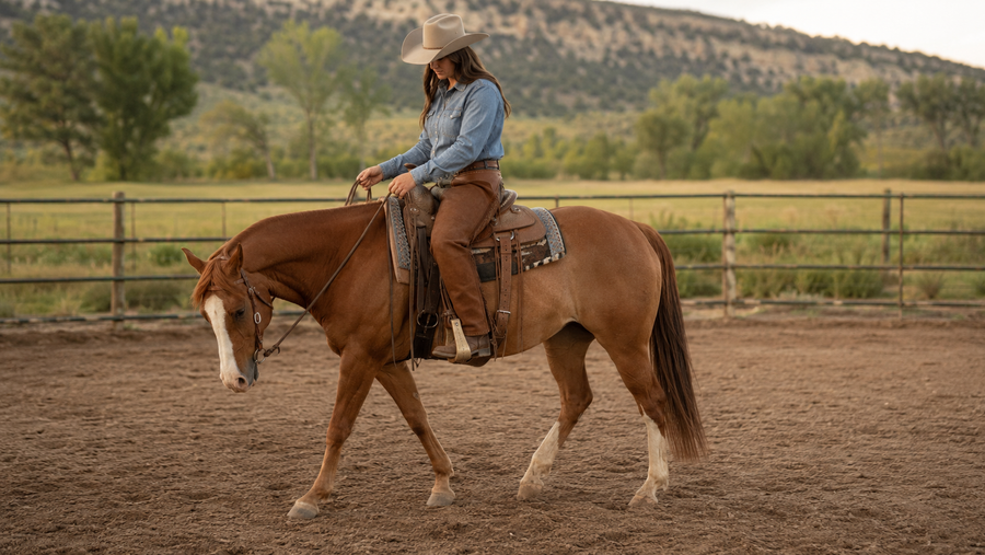 Rider reassessing a horse that feels heavy in the hand