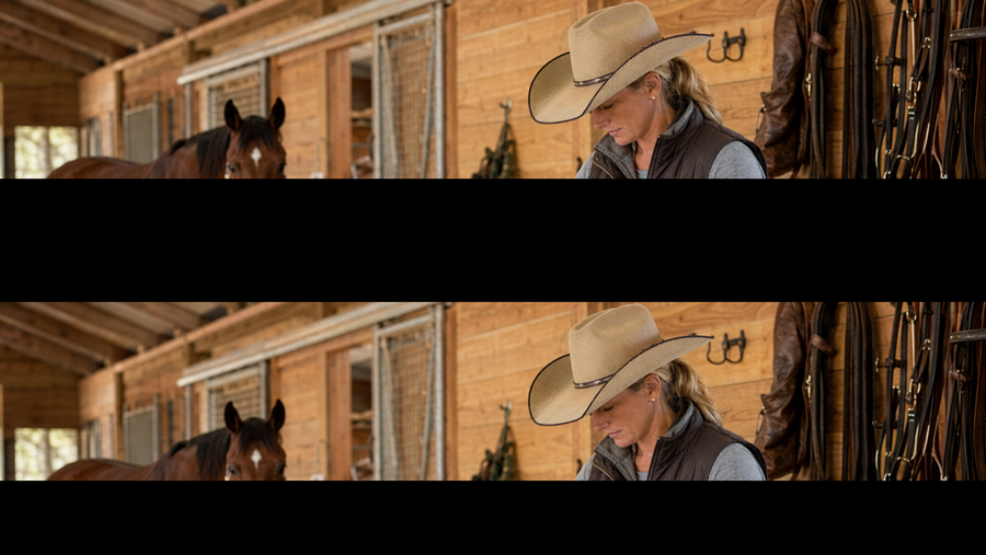 What Should Be in a Horse Recovery Station? Barn and Trailer Checklist