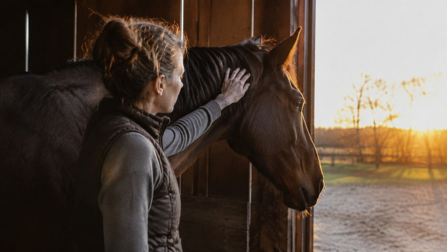 Horse owner sharing a quiet sunrise moment with a horse