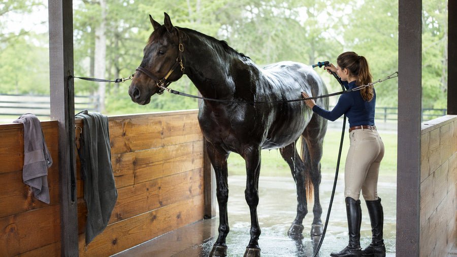 Rider rinsing a horse during a post-work cooling routine