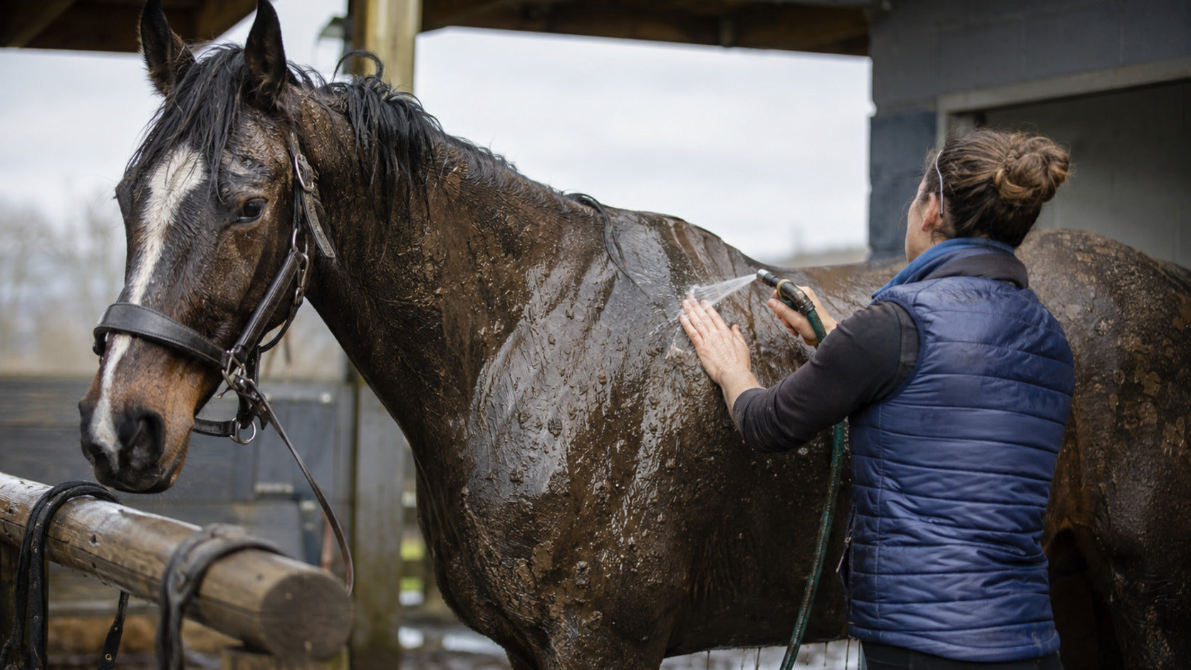 Groomer washing mud from a real working horse in a practical barn