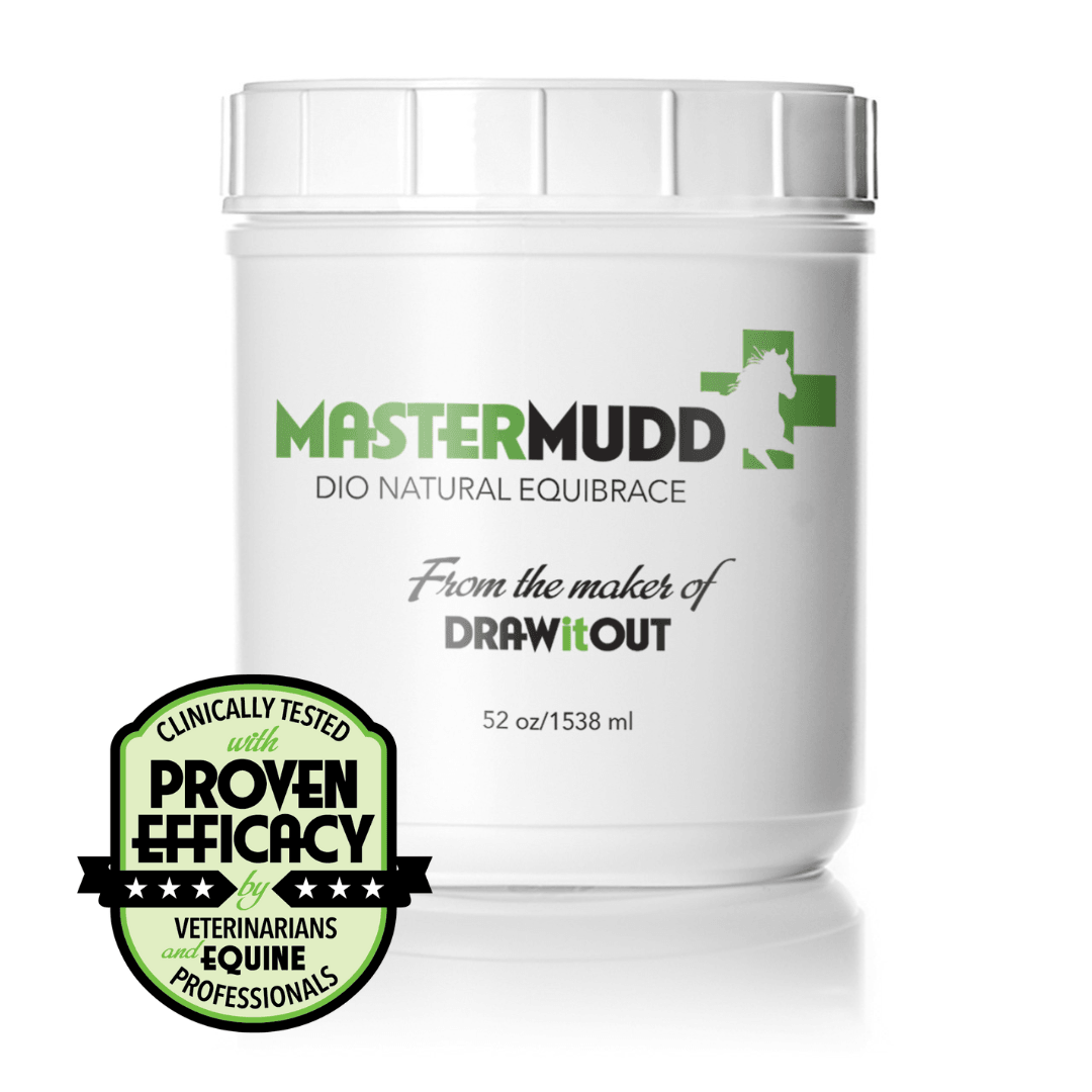 MasterMudd EquiBrace: The Perfect Choice for Supporting Your Horse's Joint Health and Flexibility - Draw it Out®