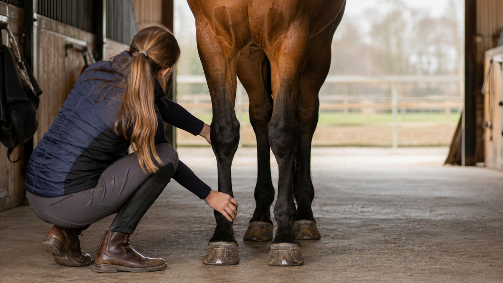 Horse owner comparing both lower legs before late-winter turnout