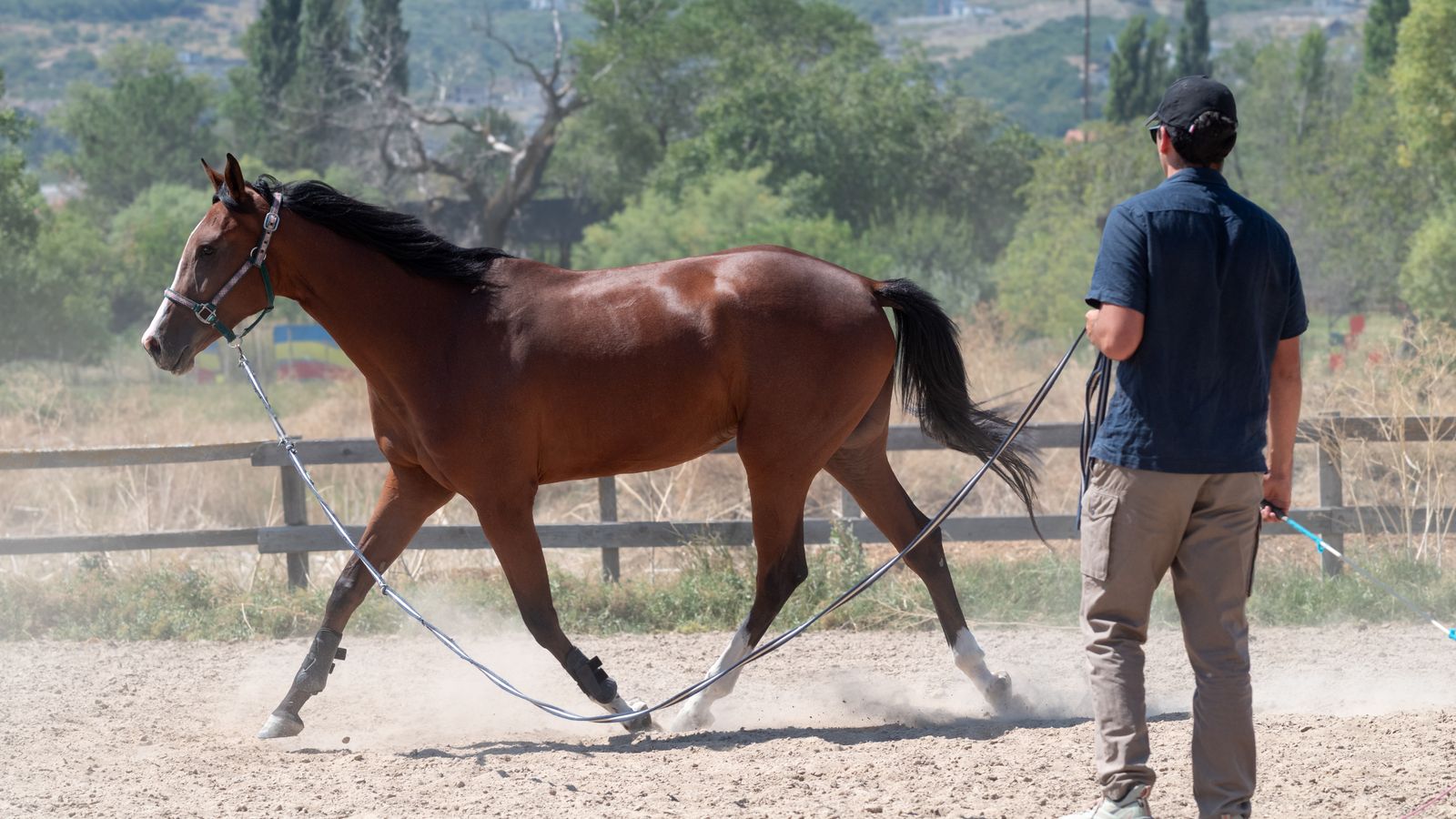 Ranch worker leading a horse in a sunny outdoor arena during hot weather
