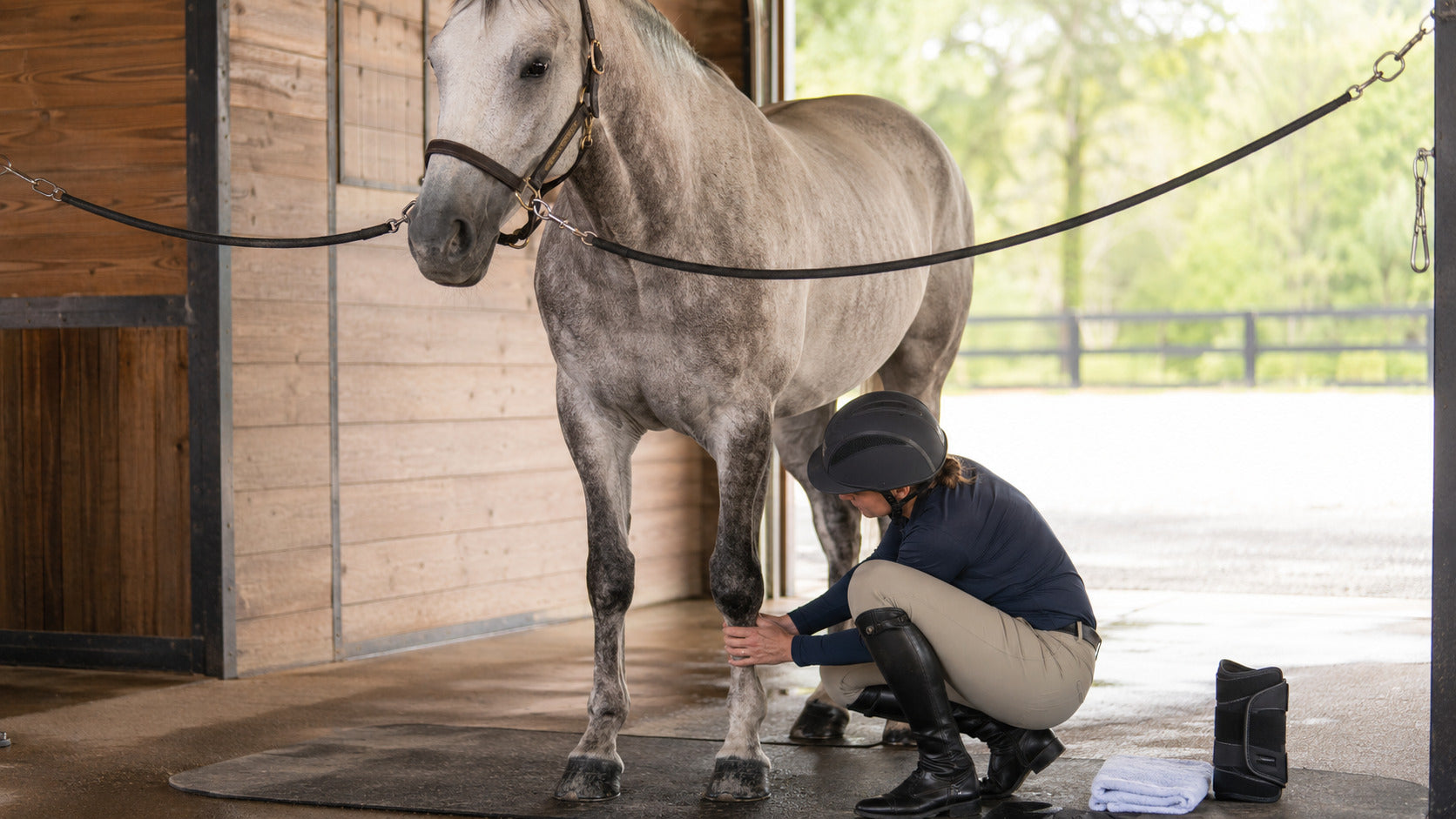 Handler assessing a horse’s lower leg before choosing heat or cold