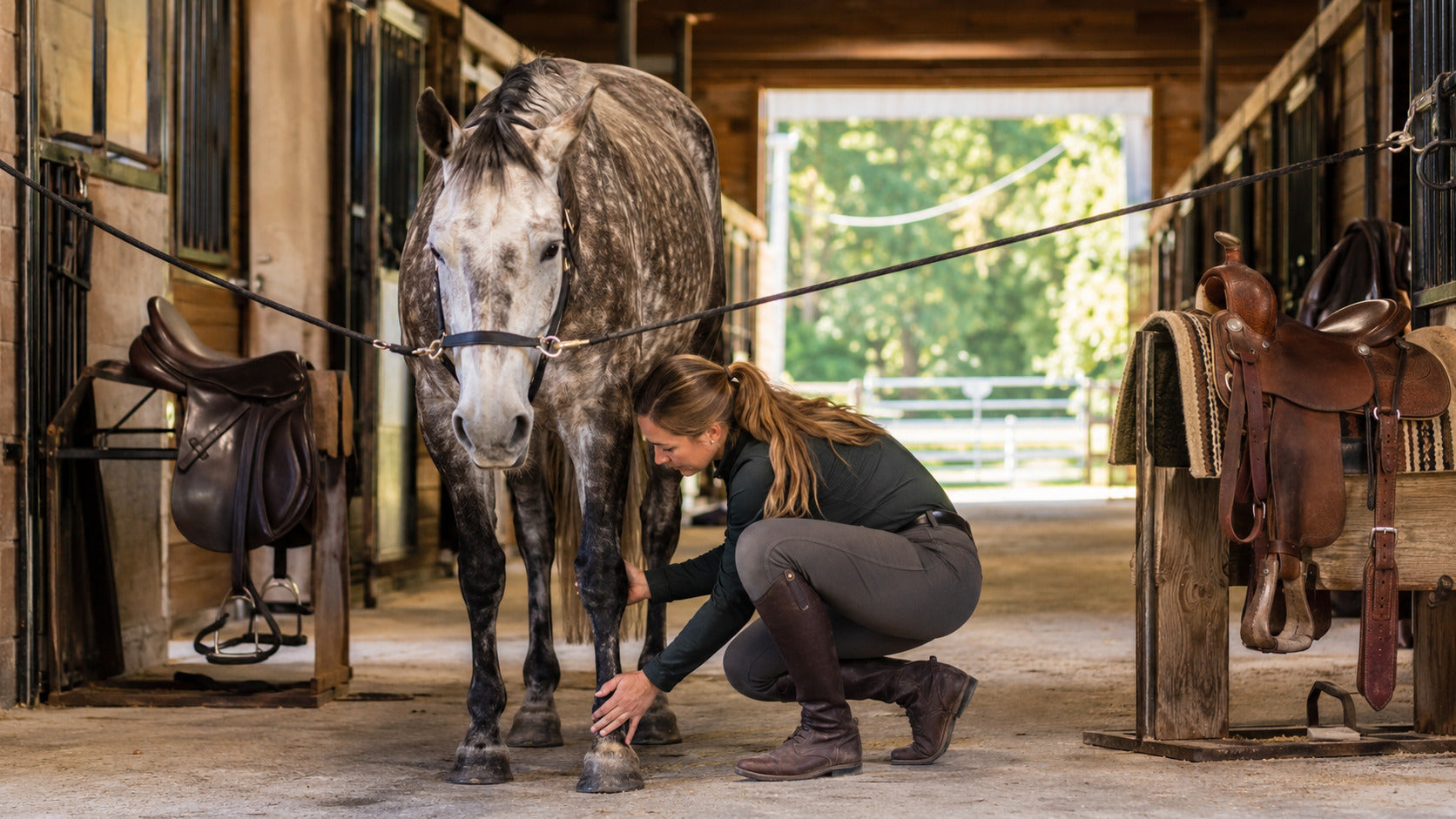 Riders from different disciplines completing the same pre-ride horse check