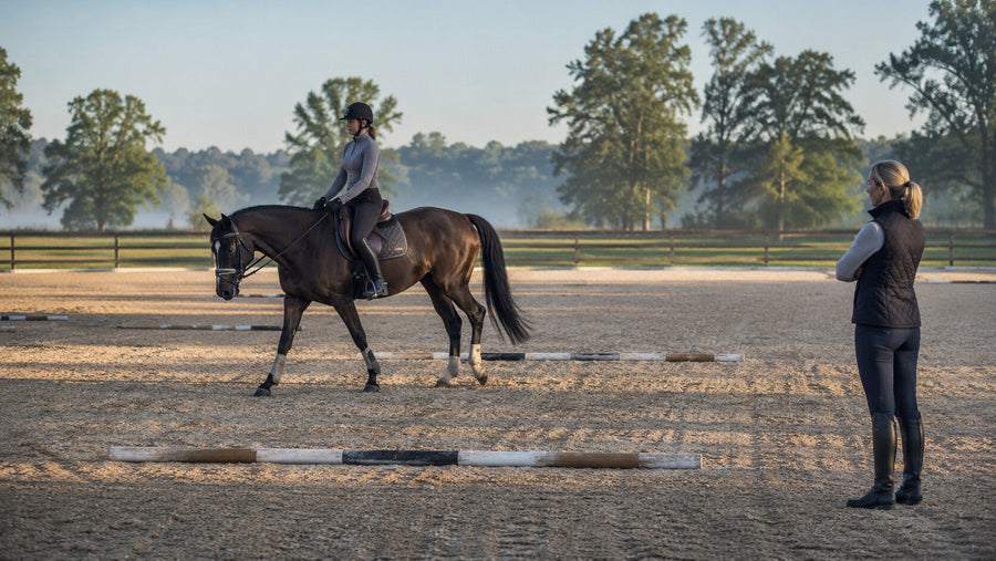 Horse beginning a gradual arena warm-up under rider and trainer observation