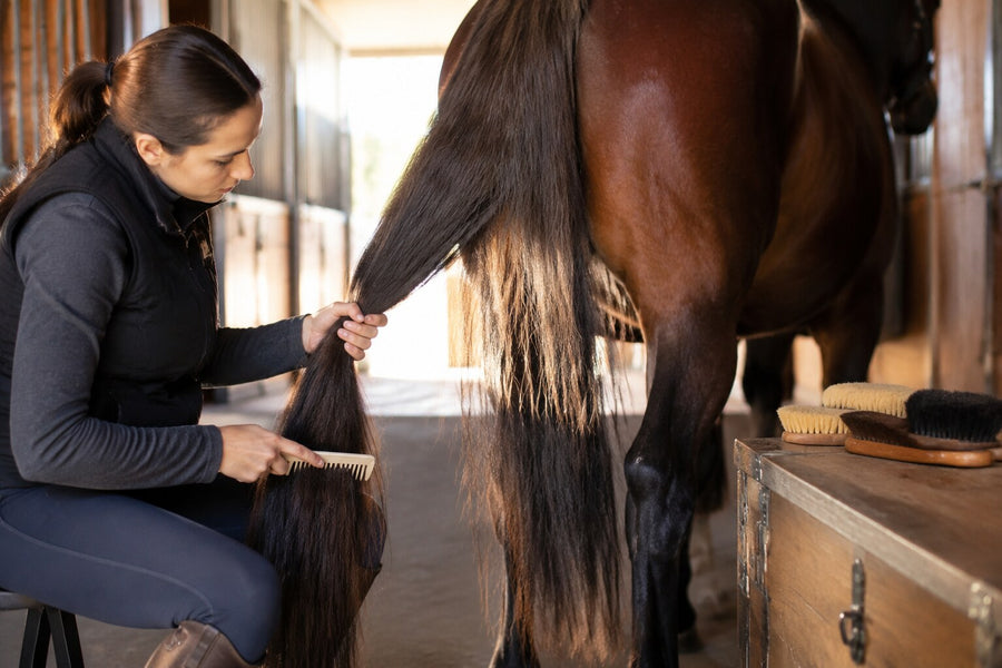 Horse owner detangling a horse's tail in small controlled sections