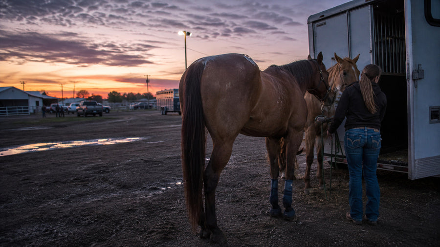 First-generation cowgirl hauling barrel horses across rural Michigan