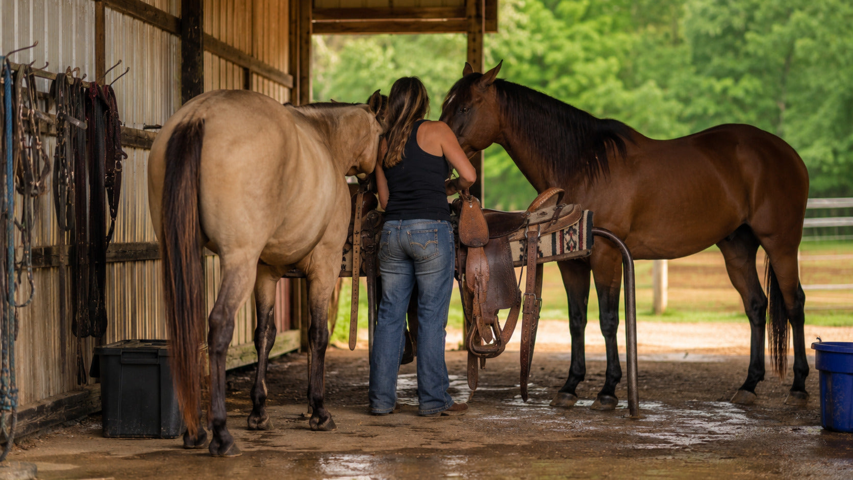 Mississippi barrel racer caring for two Quarter Horse mares at a home barn