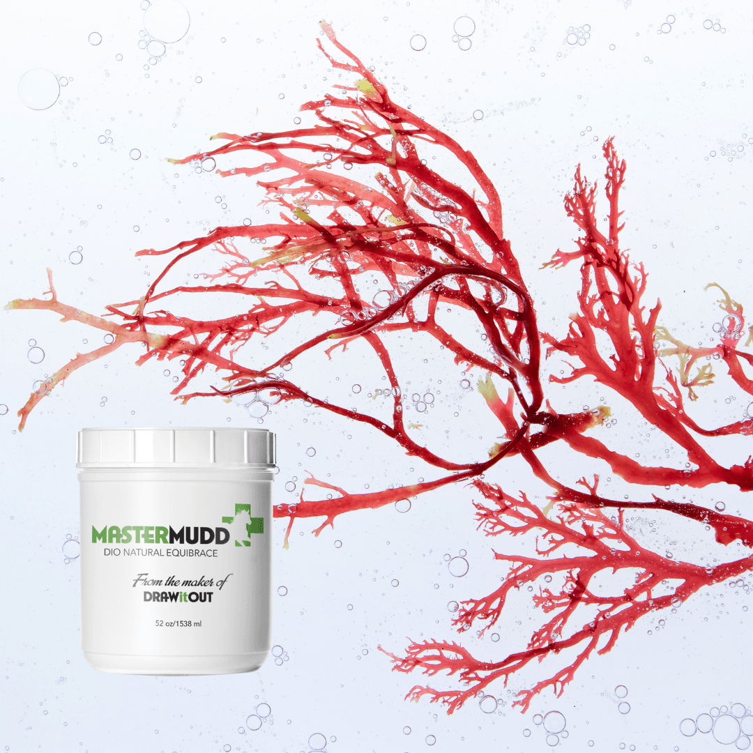 Red Algae Extract: The Miracle Solution for Your Horse's Hair and Skin - Draw it Out®