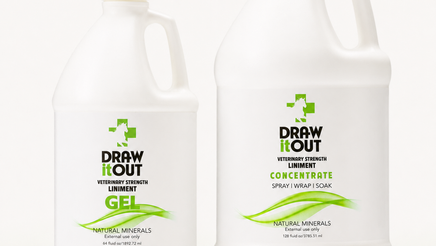 Can You Use Draw It Out® Liniment With Red Light Therapy for Horses?