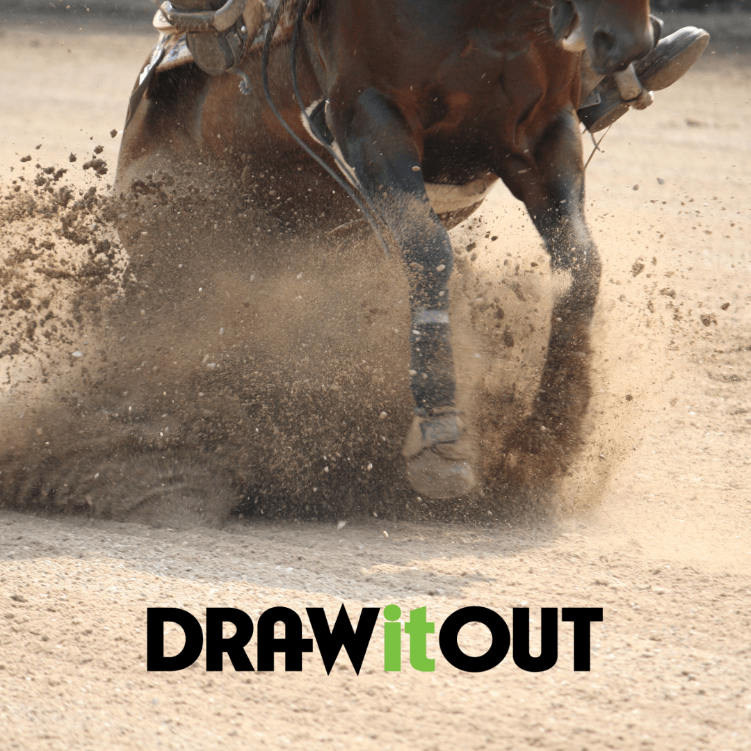 Reining Horses: The Masters of Precision and Athleticism - Draw it Out®