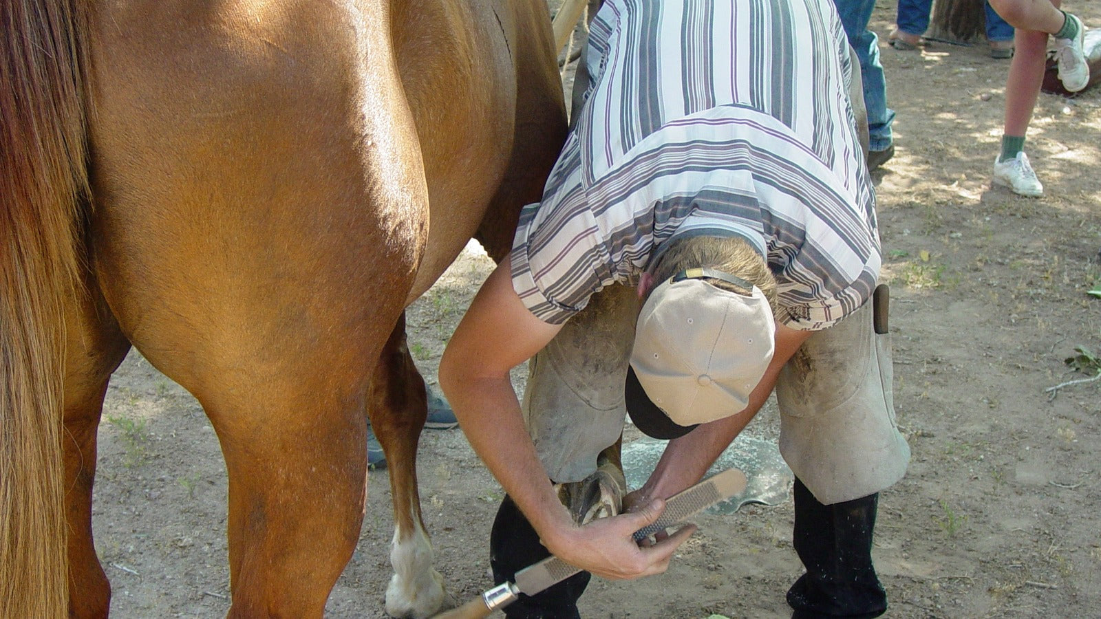 Farrier working under a horse during a demanding shoeing day