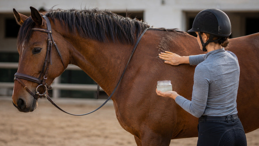 Rider applying clear gel during a calm hands-on horse-care routine