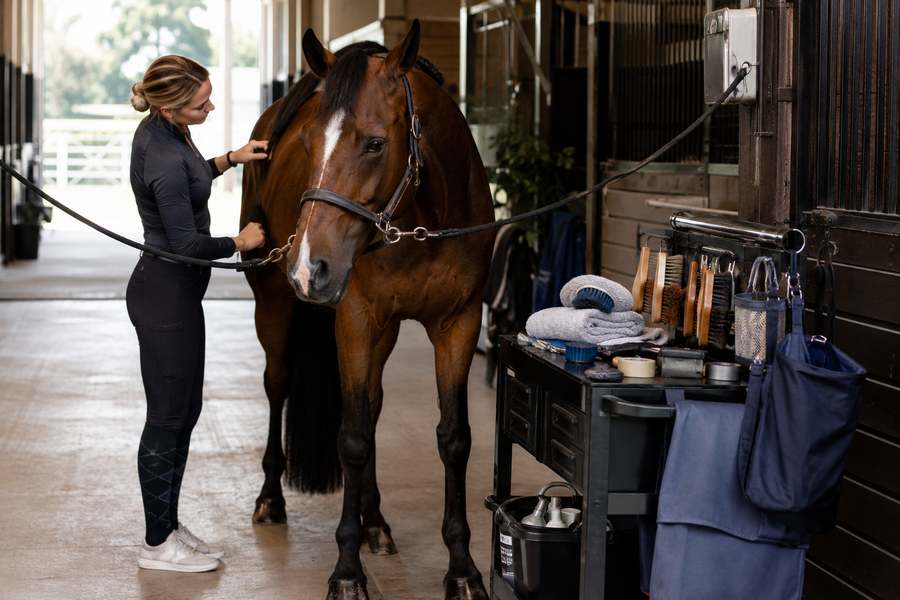 Horse beside an organized show-grooming station in a clean barn aisle