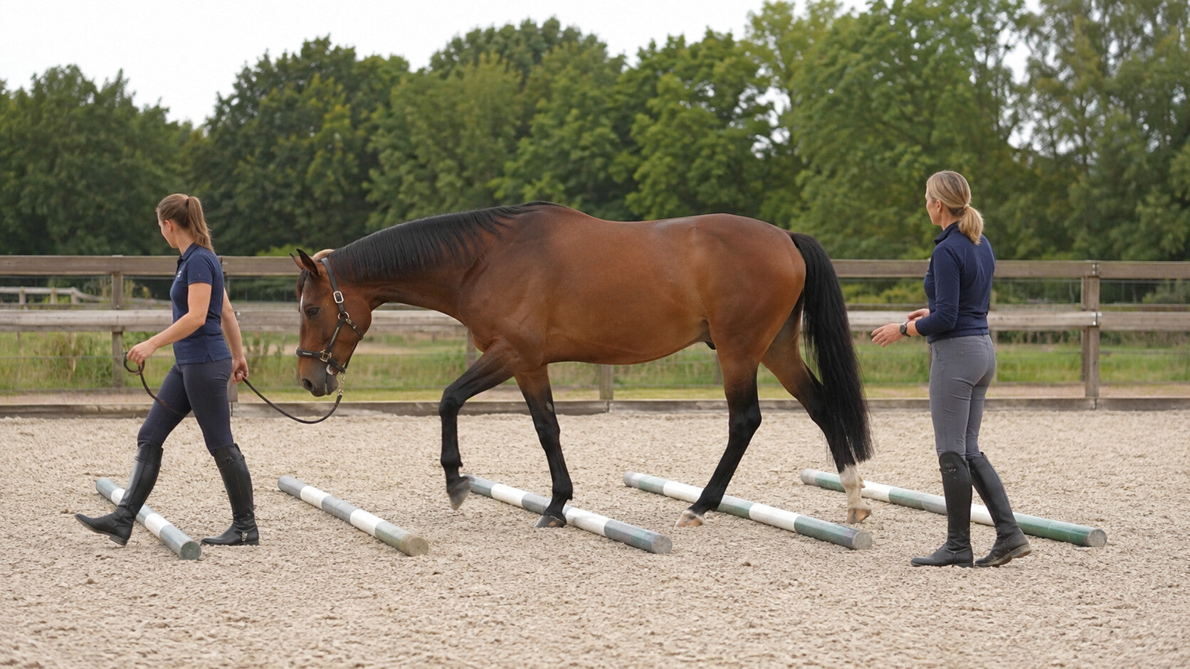 Horse walking over ground poles during an SI-region conditioning routine