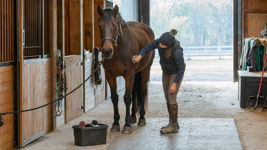 A Simple Horse Care Routine That Actually Gets Done