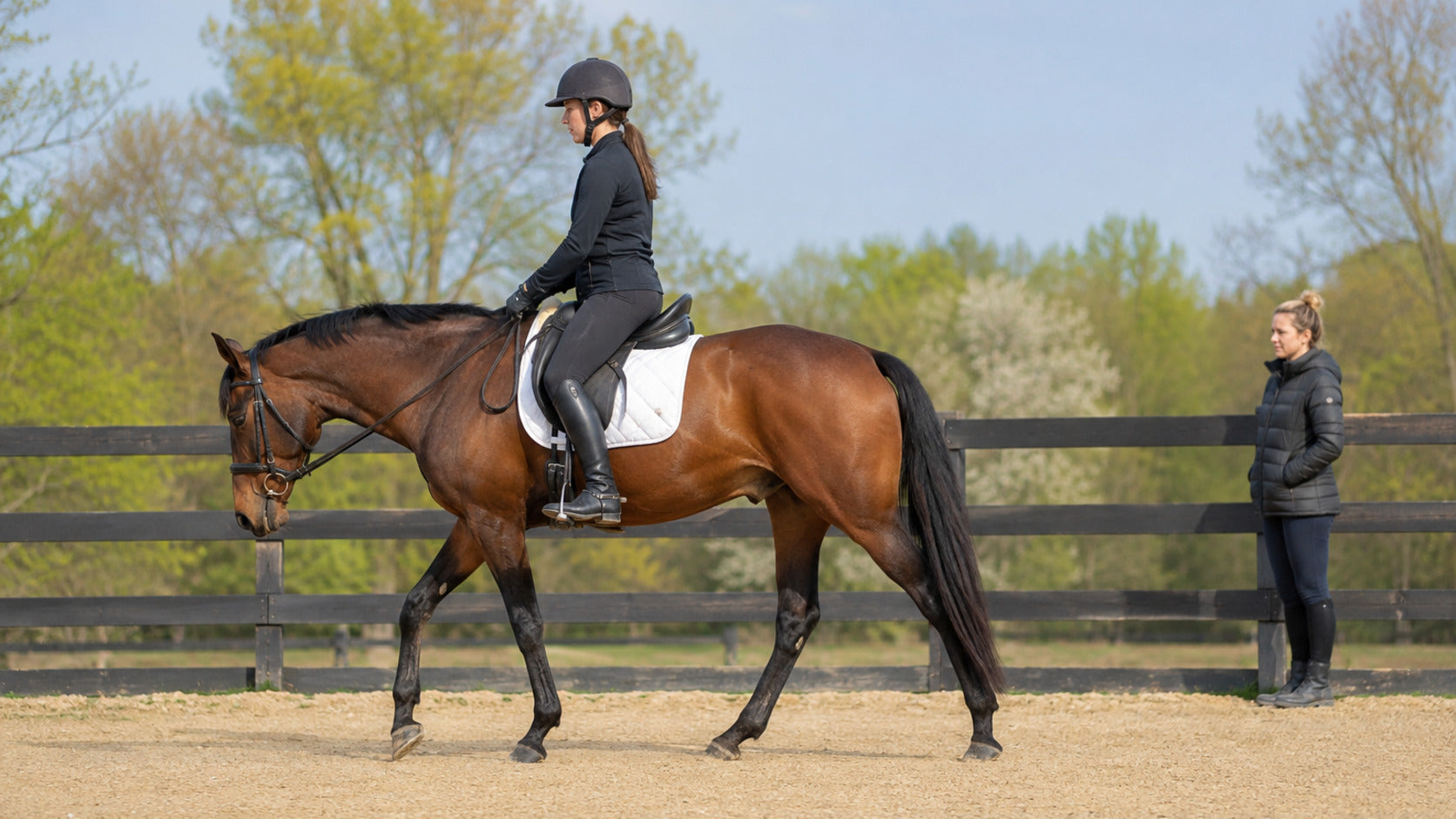 Horse and rider walking quietly during a complete spring cool-down