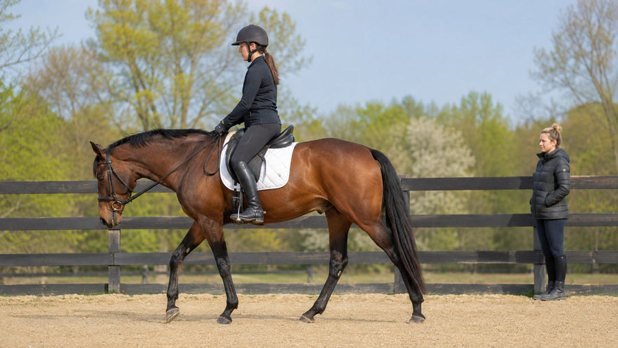 Horse and rider walking quietly during a complete spring cool-down
