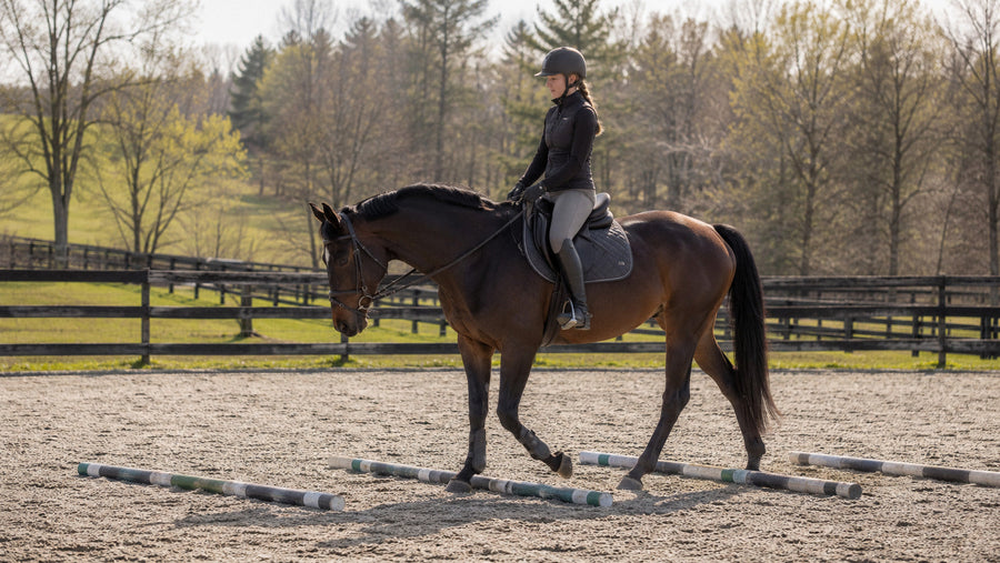 Rider walking a horse over ground poles during early spring conditioning